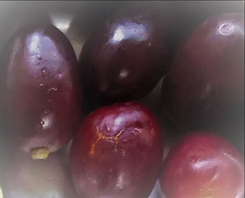食疗补精_补精食材_营养补精餐
