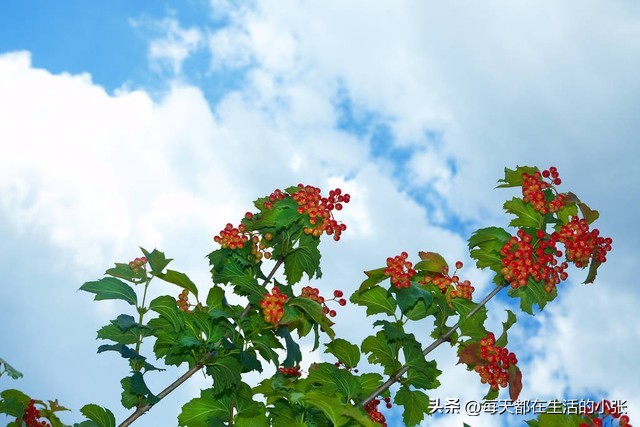 简单快乐慢节奏的生活方式_慢节奏才是享受生活_慢节奏生活的唯美句子