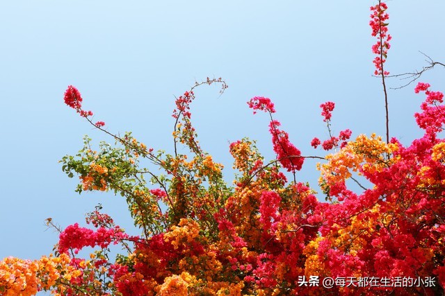 慢节奏生活的唯美句子_简单快乐慢节奏的生活方式_慢节奏才是享受生活