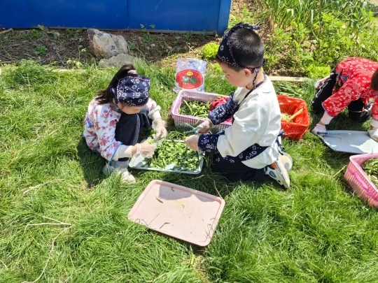 江苏幼儿生活技能课程_幼儿生活技能课教案200篇_幼儿园生活技能课
