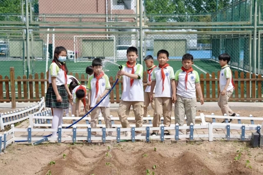 幼儿生活技能课教案200篇_江苏幼儿生活技能课程_幼儿园生活技能课
