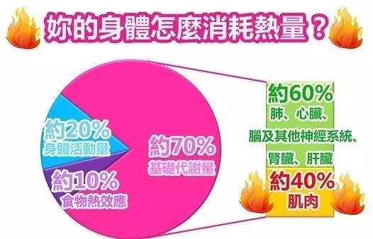 健身不吃健身餐_健身少吃多餐_健身少吃多餐