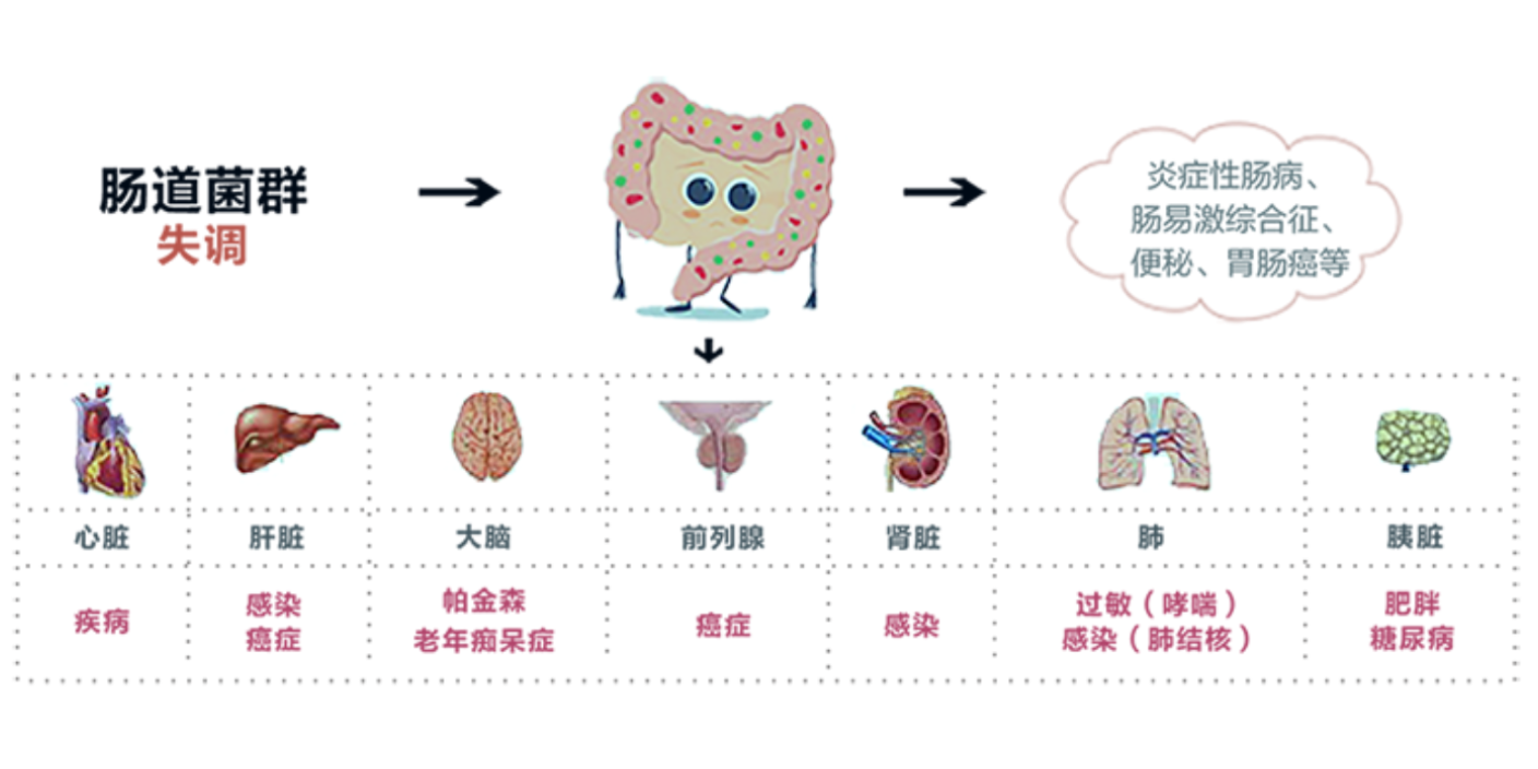 上海亚健康人群菌群检测科研助力,菌群检测