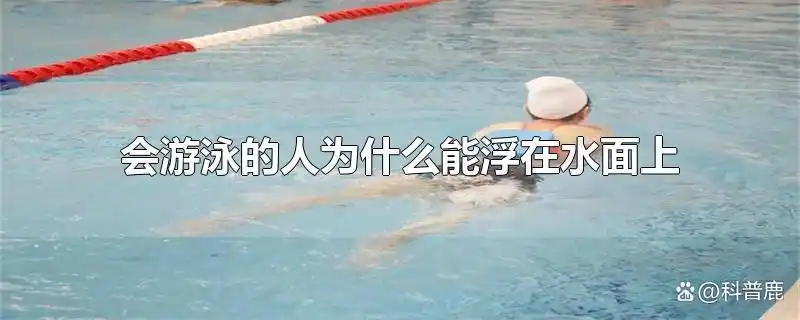游泳初学者教程_游泳初学者必学技巧有哪些_初学者游泳视频教程
