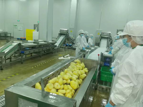 央厨配餐_央厨营养餐意义_央厨是什么意思餐饮